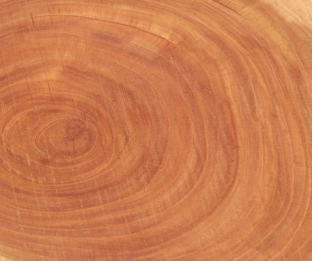 Live Edge Acacia Side Table 4 Live Edge Acacia Side Table - Image 2